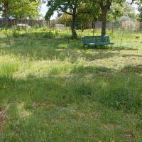 Parc